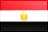 عربي ‎(ar)‎